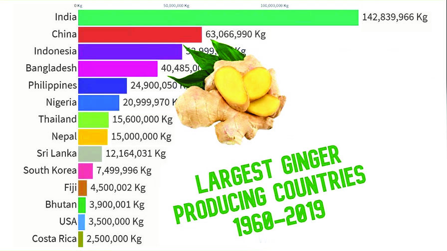 Exploring the booming market for ginger The Nation Newspaper