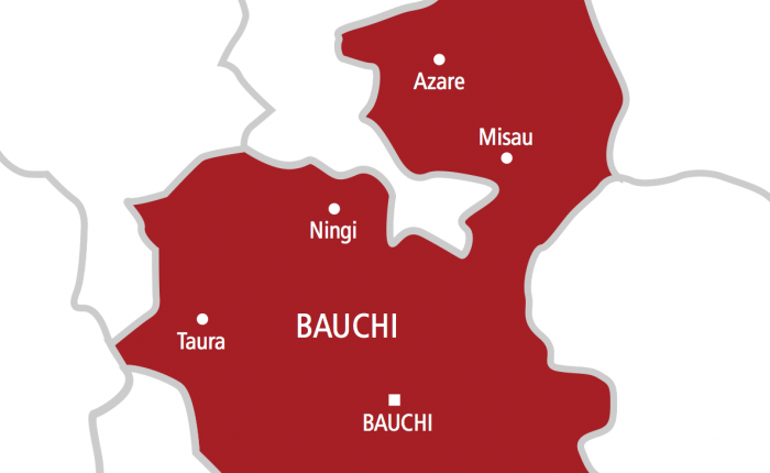 Bauchi farm
