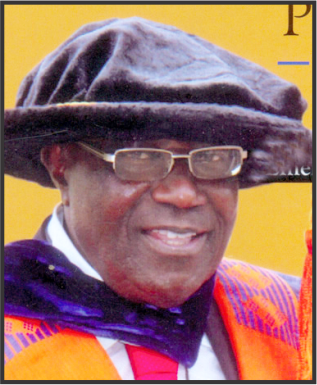 Professor Adekanye