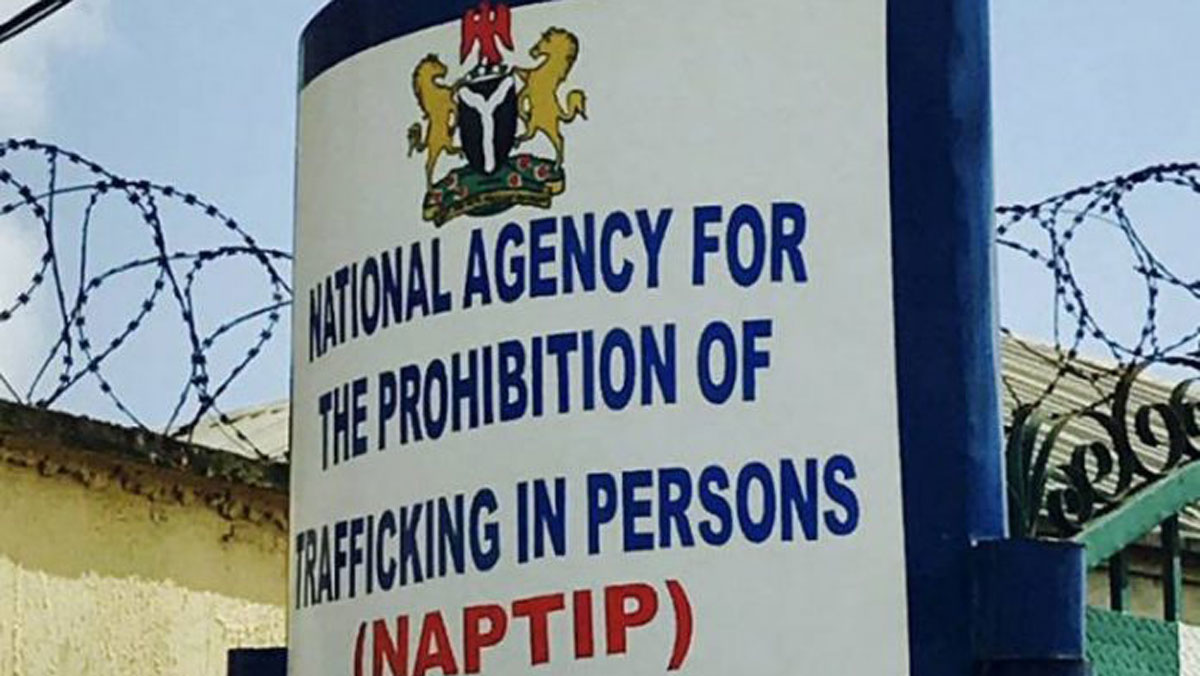 NAPTIP Calls On Nollywood To Join Hands In Fighting Human Trafficking 