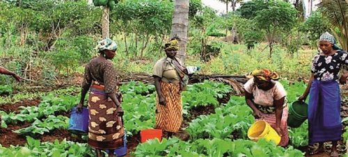 female farmers