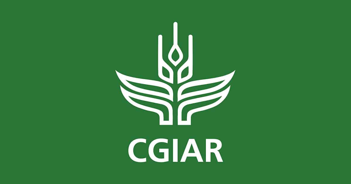 CGIAR: unpacking the principles and the processes in the African context
