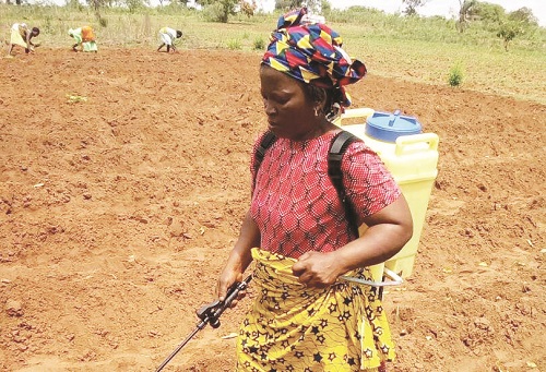 A Delta woman at her farm