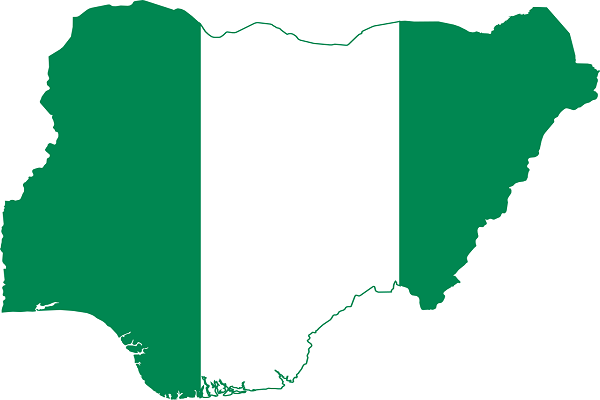 Nigeria’s Scripted Year