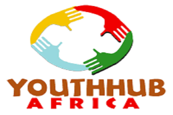 YouthHubAfrica Segun Medupin