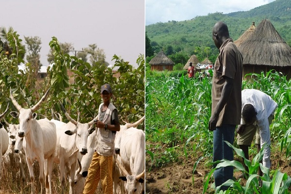 ohanaeze middle belt youths move to end farmers herders crisis