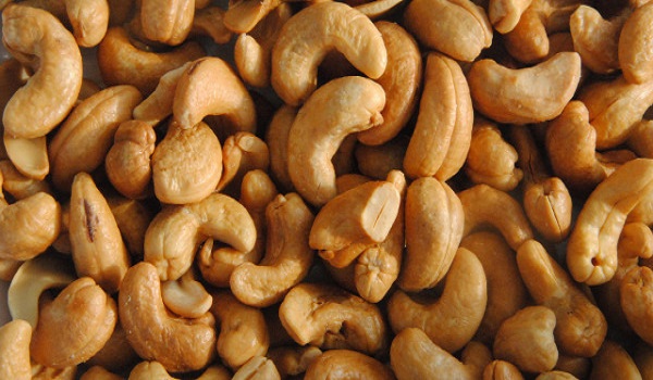 African cashew industry