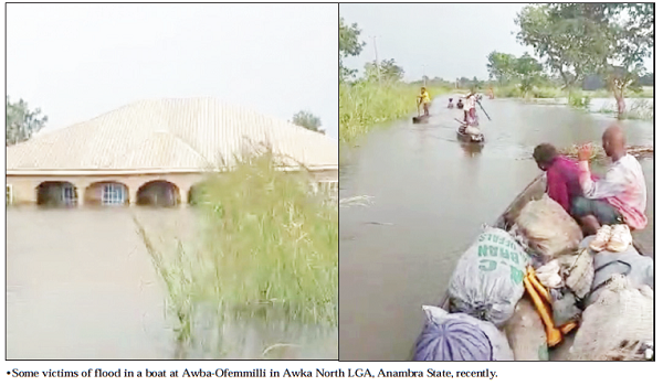 76 Feared Dead In Anambra Boat Mishap The Nation Newspaper 7969