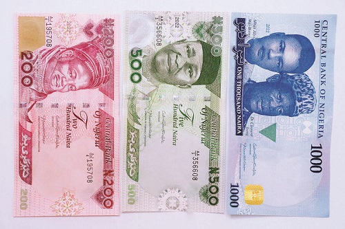 The new naira notes