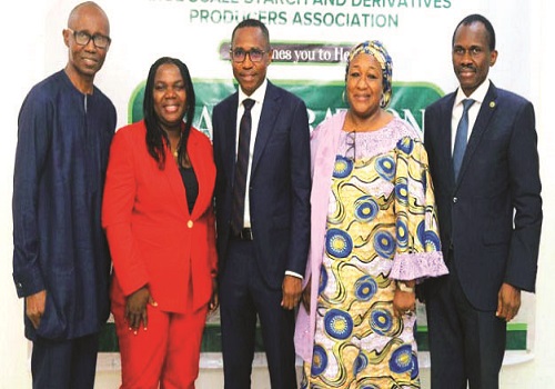 ‘Nigeria can earn $1b forex from cassava derivatives yearly’ | The ...