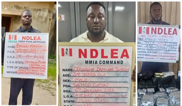 NDLEA intercepts drug consignments in wooden statue, imported vehicles ...