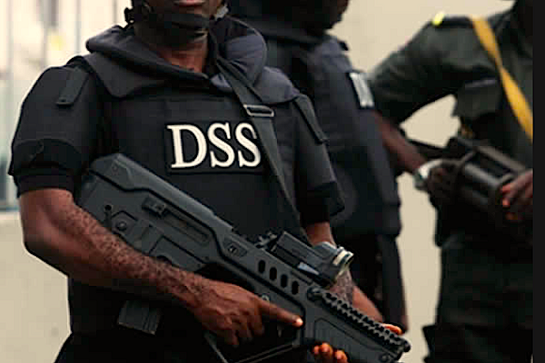 Misguided politicians plotting interim government, DSS warns | The Nation  Newspaper