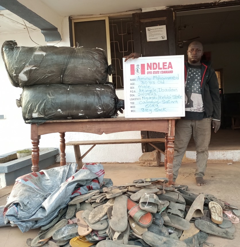 NDLEA Seizes Drug Consignments Hidden In Imported Car, Food Items | The ...